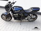 Kawasaki Zrx1100R Custom With Hesa Rearend Bike